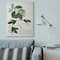 Stupell Industries Botanical Green Plant Illustration Wall Art